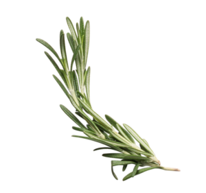 rosemary-item%402x.png